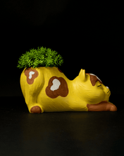 Load image into Gallery viewer, Cat Planters

