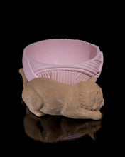 Load image into Gallery viewer, Kit-Cat Yarn Bowl