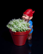 Load image into Gallery viewer, Pebbles the Gardening Gnome
