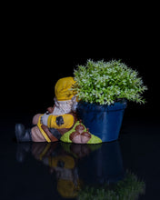 Load image into Gallery viewer, Snooze the Gardening Gnome