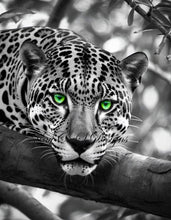 Load image into Gallery viewer, Emerald Gaze of the Leopard - KayCeeS Designs