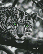 Load image into Gallery viewer, Emerald Gaze of the Leopard - KayCeeS Designs