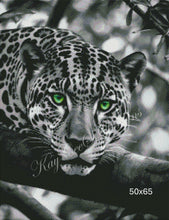 Load image into Gallery viewer, Emerald Gaze of the Leopard - KayCeeS Designs