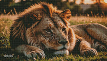 Load image into Gallery viewer, Golden Hour Lion - KayCeeS Designs