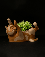 Load image into Gallery viewer, Cat Planters
