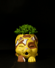 Load image into Gallery viewer, Cat Planters
