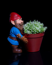 Load image into Gallery viewer, Pebbles the Gardening Gnome
