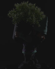 Load and play video in Gallery viewer, &quot;Sprout&quot; the Gardening Ghome
