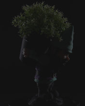 Load and play video in Gallery viewer, &quot;Sprout&quot; the Gardening Ghome
