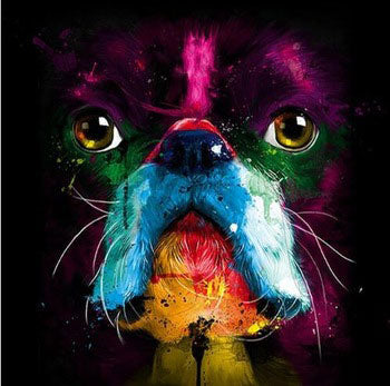 Colourful Bull Dog Diamond Painting