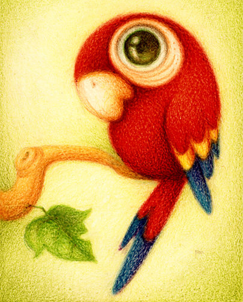 Big Eyed Parrot Diamond Painting