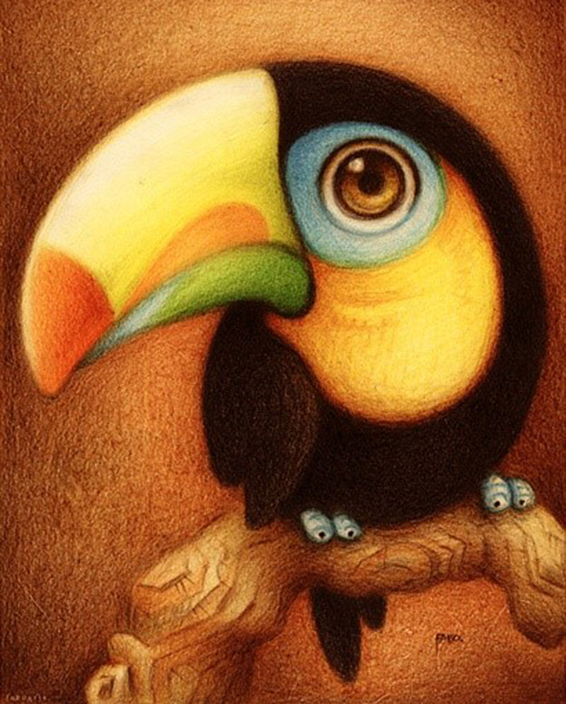 Big Eyed Toucan Diamond Painting